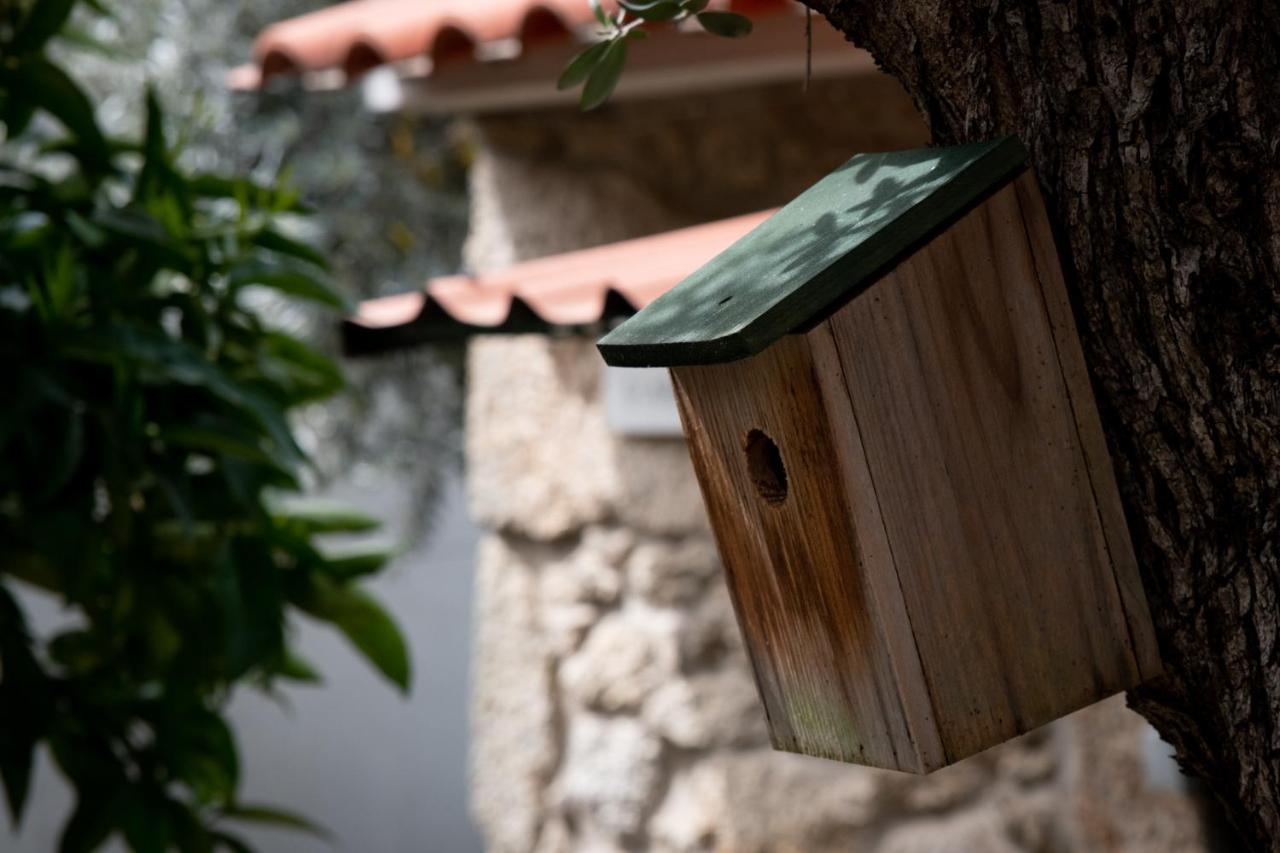Villa Casa Do Guardado Monsanto Esterno foto